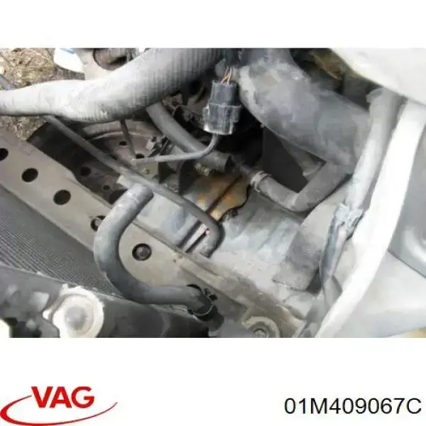 Купить 01M409067C VAG 