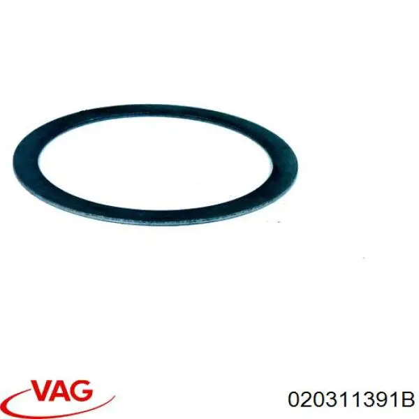 020311391B VAG 