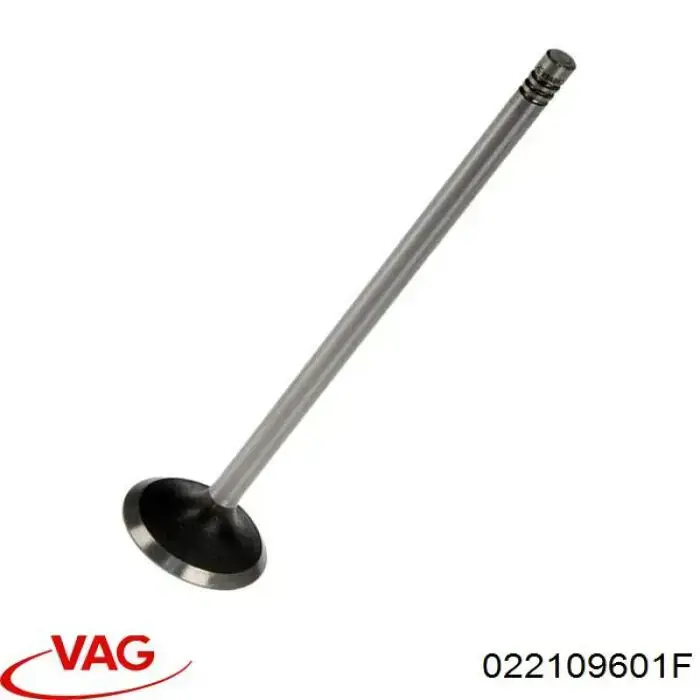 Клапан впускной VAG 022109601F цена, от 148.70 USD