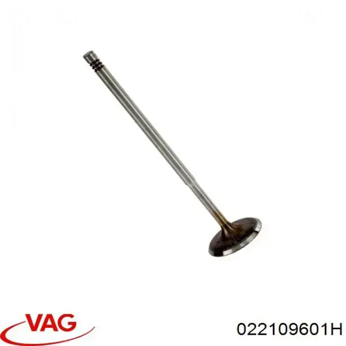 Клапан впускной VAG 022109601H