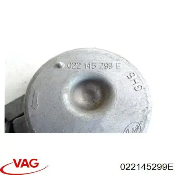 022145299E VAG
