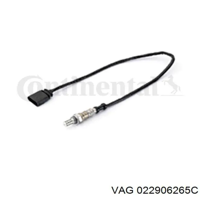 022906265C VAG/Skoda
