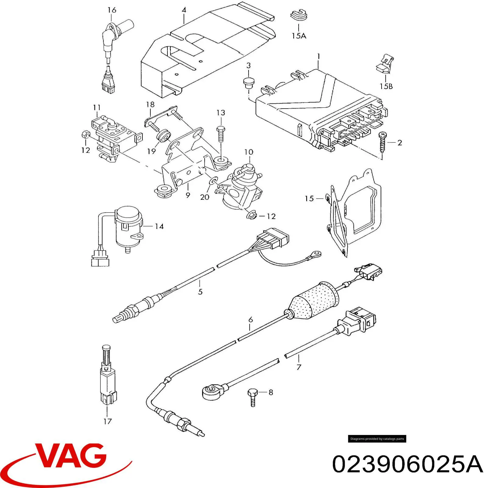 023906025A VAG Мозги двигателя