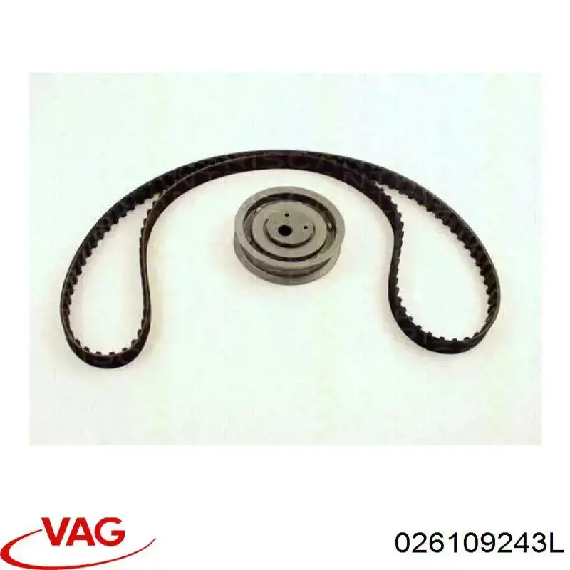Compre 026109243L VAG Rolo de reguladora de tensão da correia do mecanismo de distribuição de gás