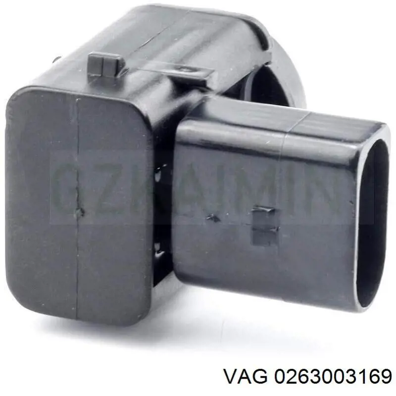  VAG 0263003169