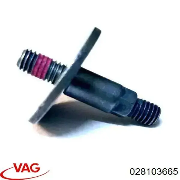  028103665 VAG