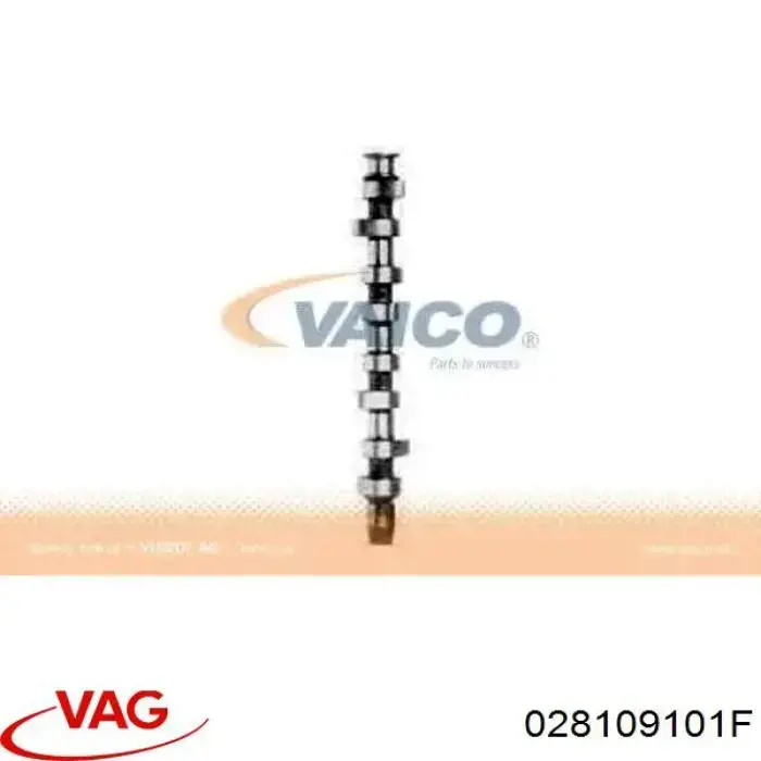 Купить 028109101F VAG Распределительный вал двигателя