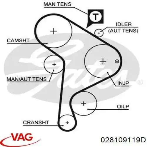 Зубчатый ремень VAG 028109119D цена, от 22.00 USD