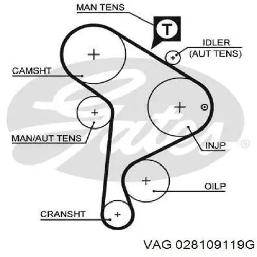 Ремень ГРМ 028109119G VAG