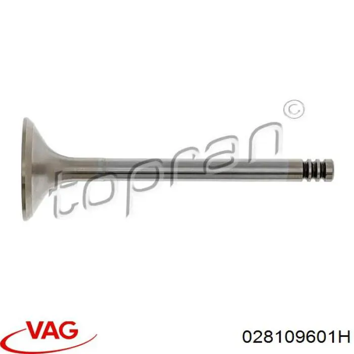 Клапан впускной VAG 028109601H цена, от 7.90 USD