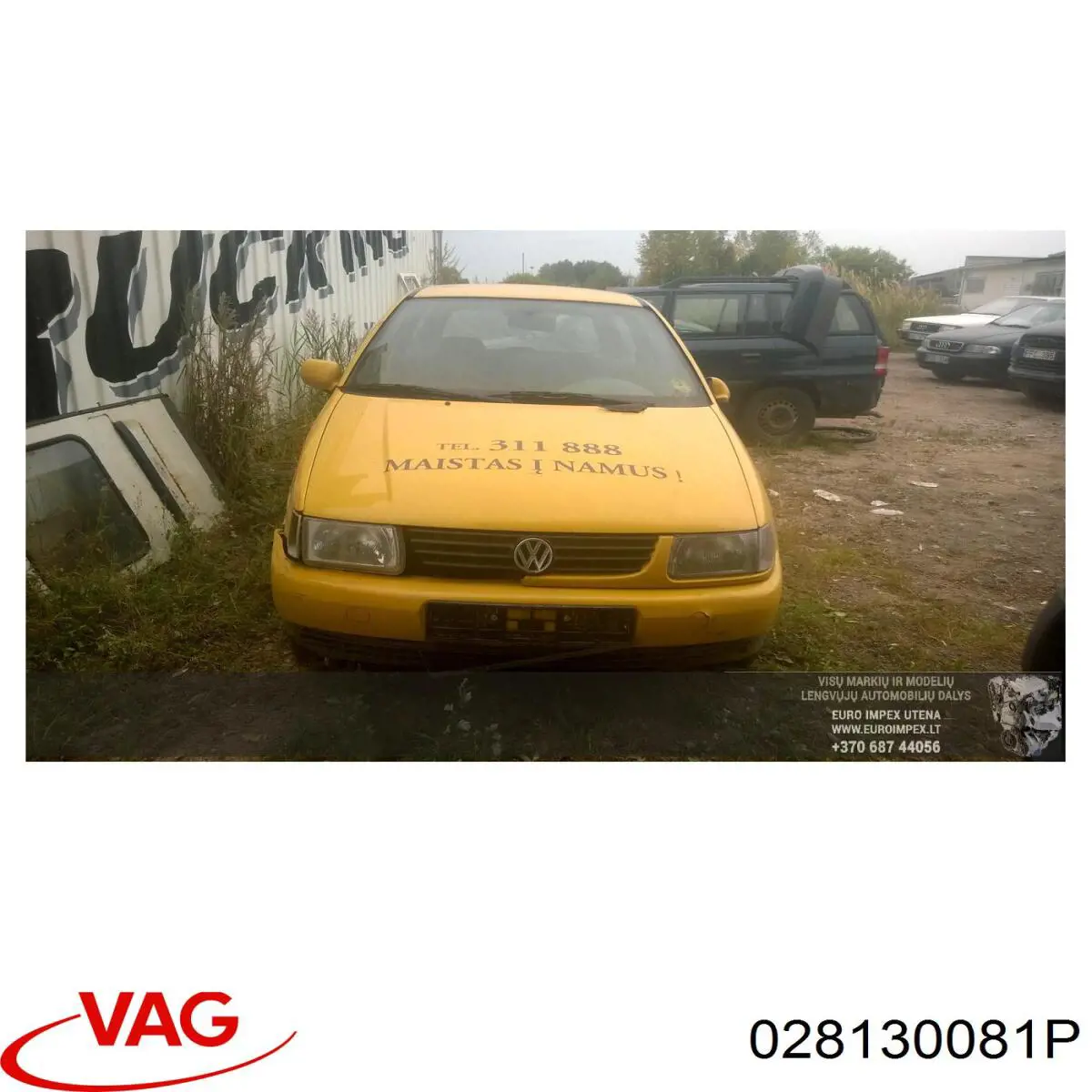  028130081P VAG