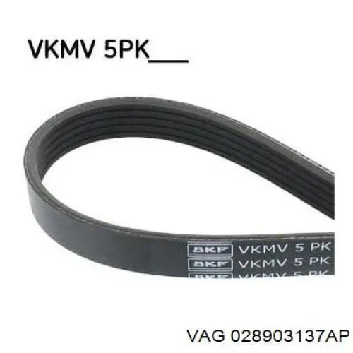 Клиновый ремень VAG 028903137AP цена, от 11.00 USD