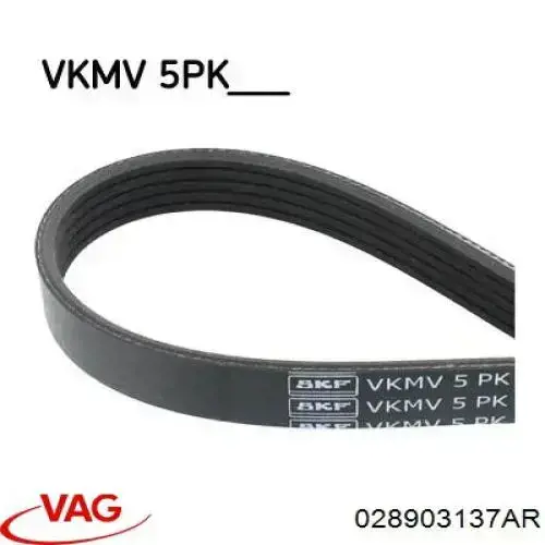 028903137AR VAG Поликлиновый ремень