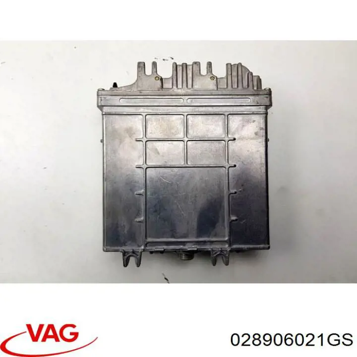 028906021GS VAG Мозги двигателя