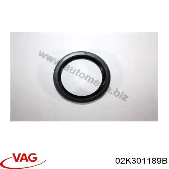 02K301189B VAG