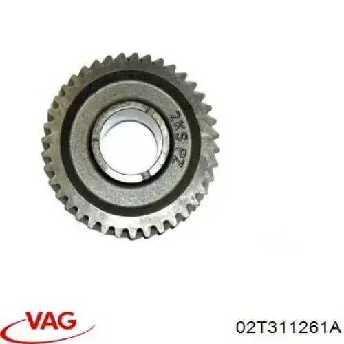  02T311261AC VAG