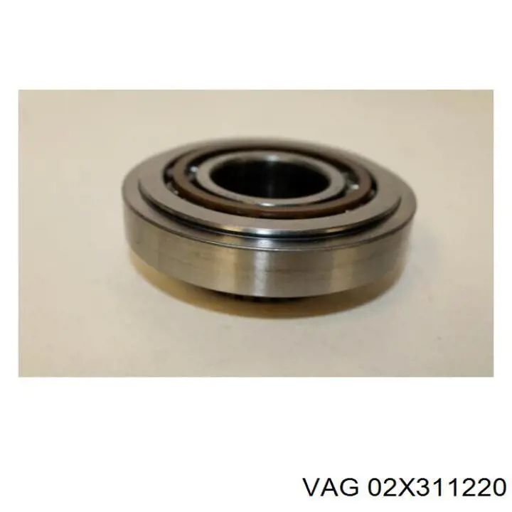 02X311220 VAG 