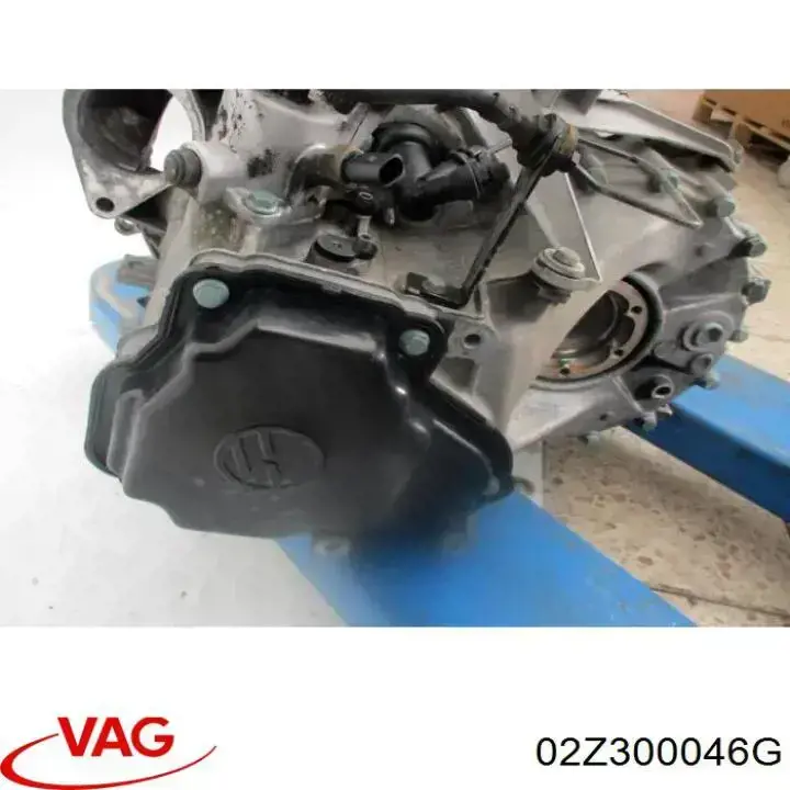  02Z300046G VAG