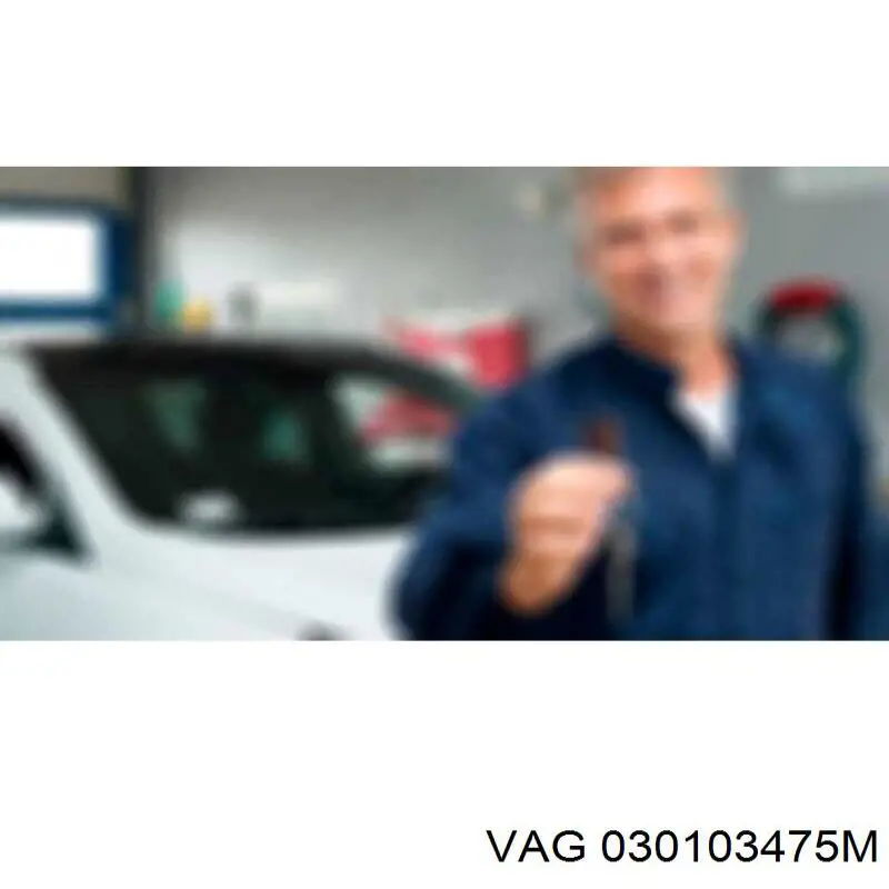  030103475M VAG