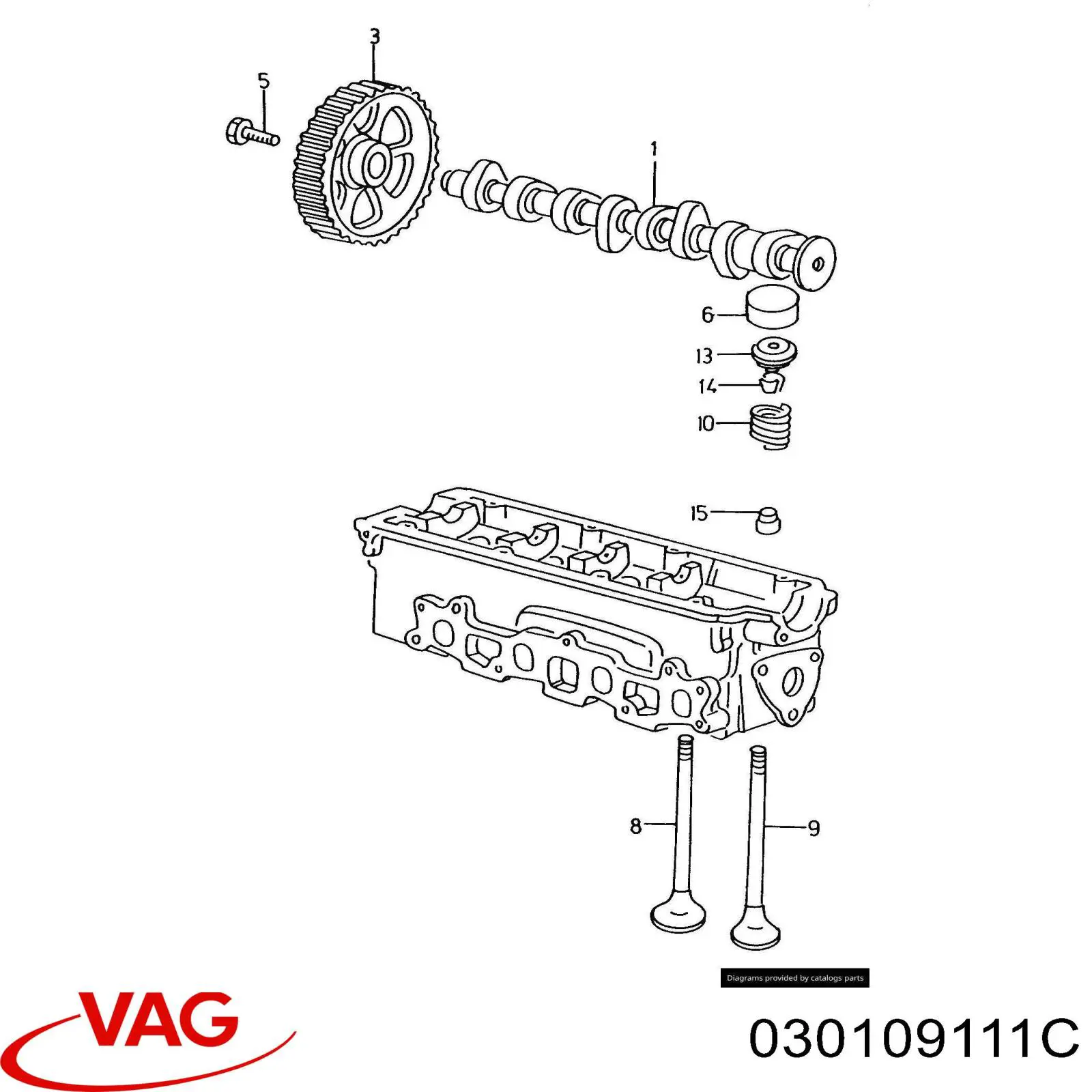 Engrenagem de cadeia da roda dentada da árvore distribuidora de motor Volkswagen Polo III 6N2