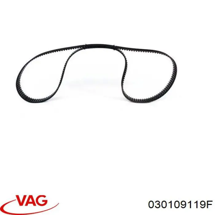 030109119F VAG Ремень двигателя