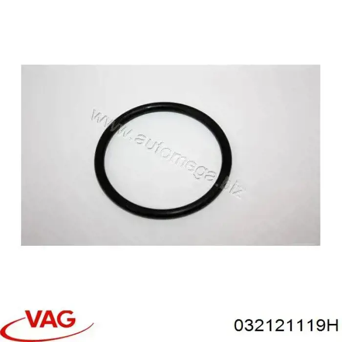 032121119H VAG/Seat