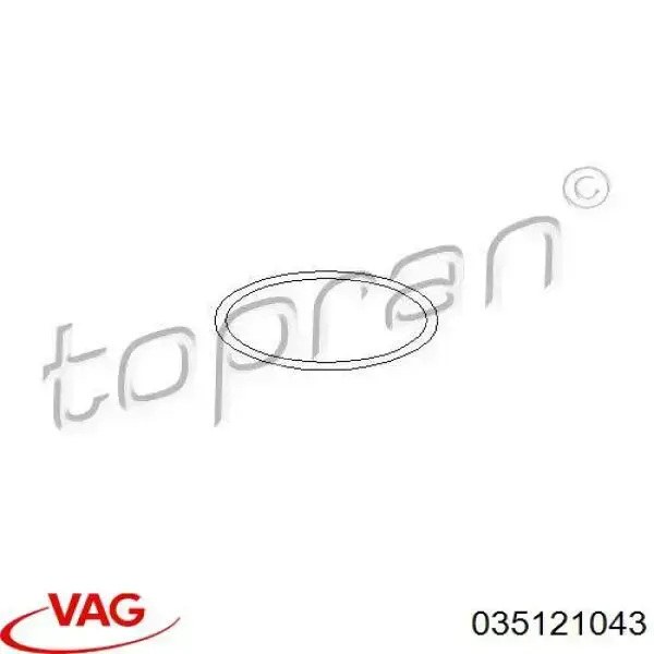 Купить 100674015 Hans Pries (Topran) Прокладка водяной помпы