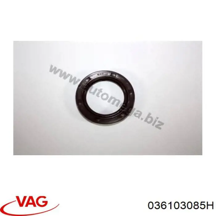 Сальник коленчатого вала VAG 036103085H цена, от 6.96 USD