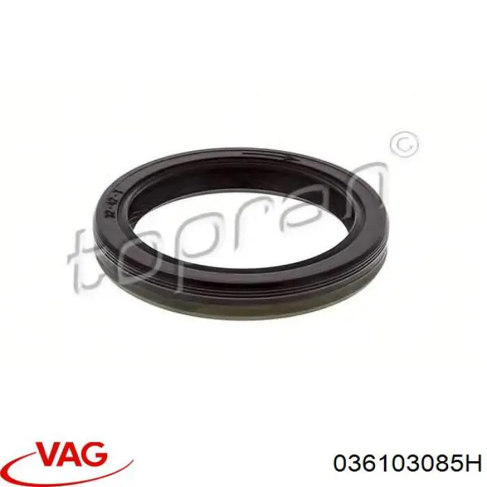 Купить 036103085H VAG Передний сальник коленвала