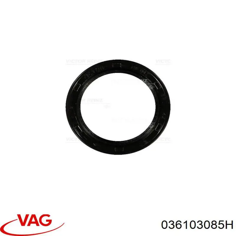 Сальник коленвала 036103085H VAG