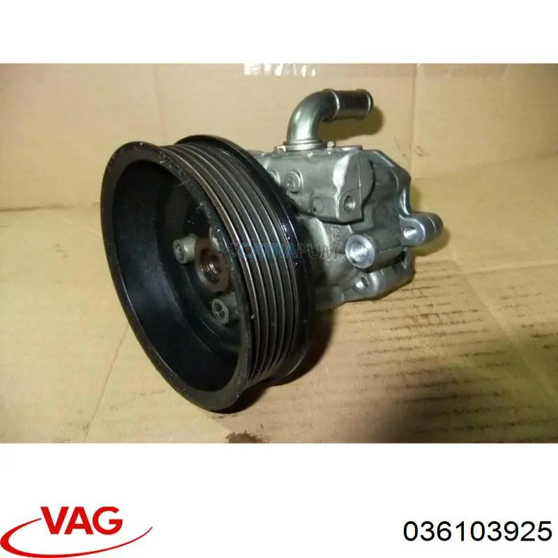  036103925 VAG