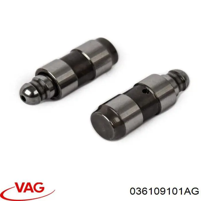Распредвал двигателя выпускной VAG 036109101AG цена, от 84.75 USD