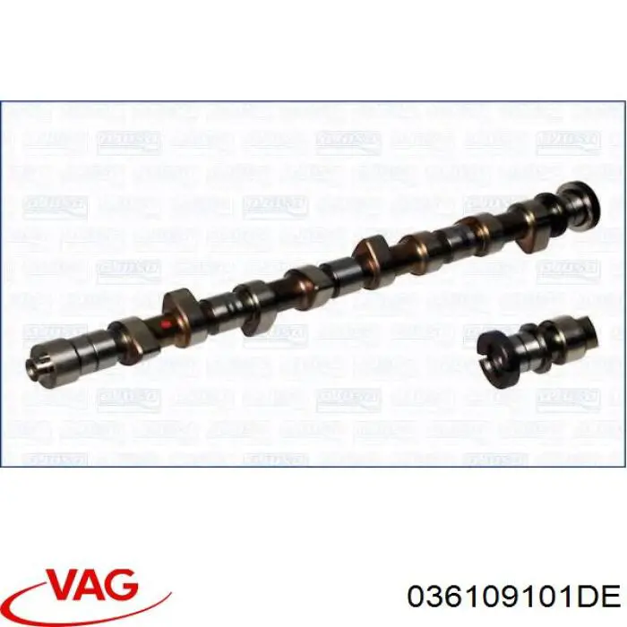 Распредвал двигателя выпускной VAG 036109101DE цена, от 151.68 USD