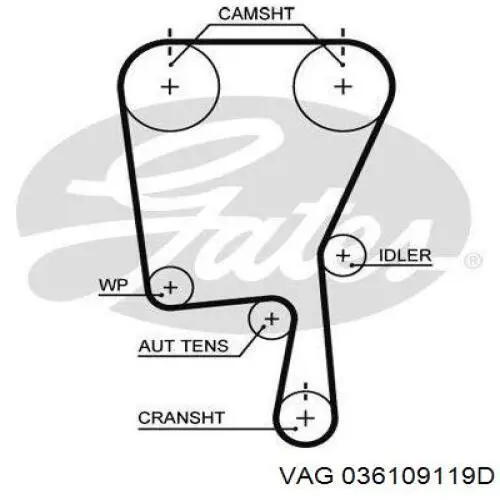 Зубчатый ремень VAG 036109119D цена, от 28.22 USD