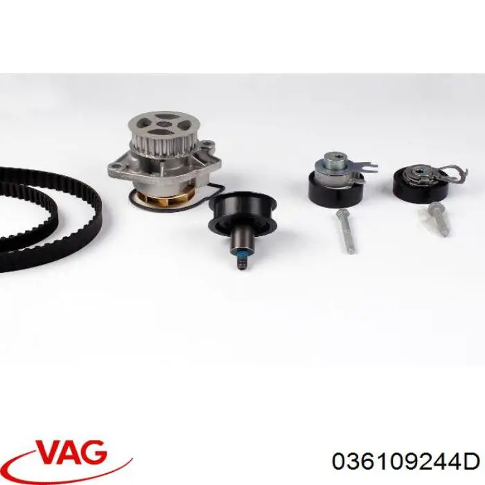 Купить 036109244D VAG Ведуший ролик ГРМ