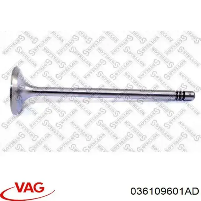 Впускной клапан FR6013 Freccia
