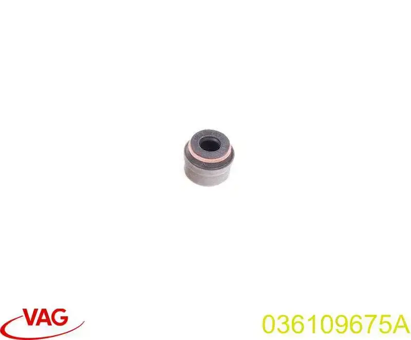 036109675A VAG сальник клапана (маслосъемный, впуск/выпуск)