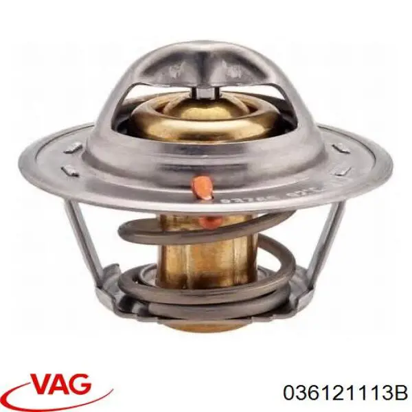 Термостат 036121113B VAG