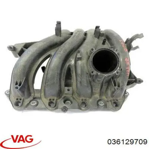 Купить 036129709 VAG Коллектор впускной верхний