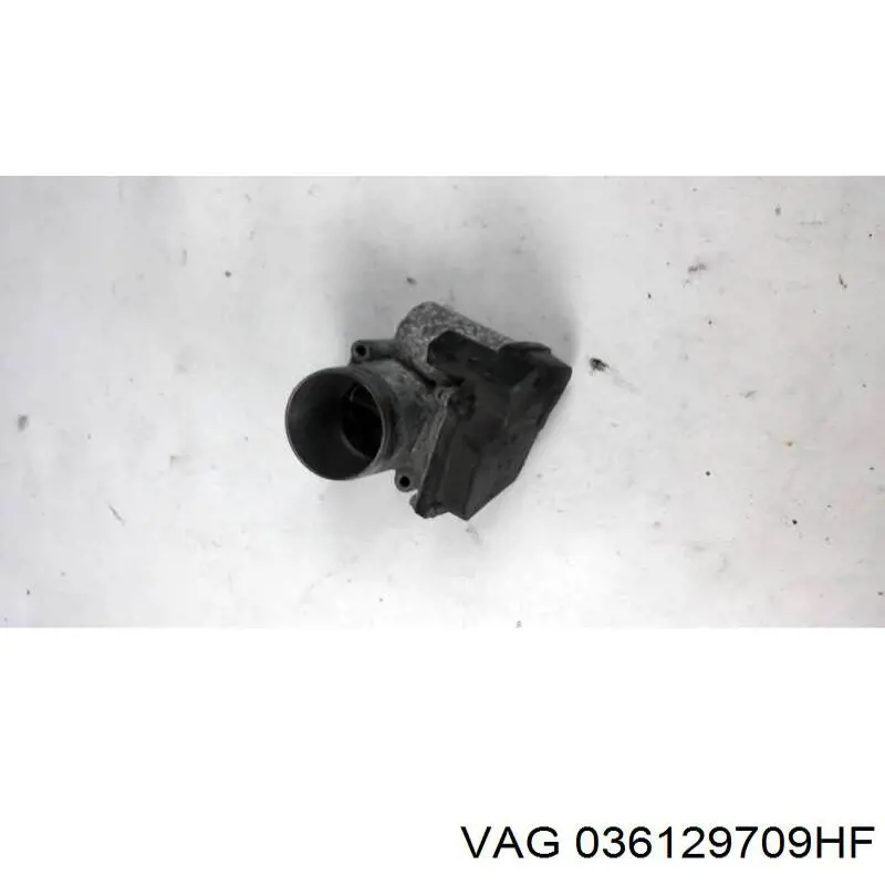 036129709HF VAG 