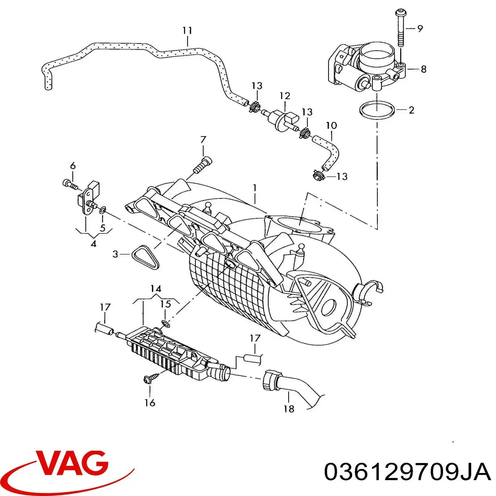 036129709JA VAG turbina