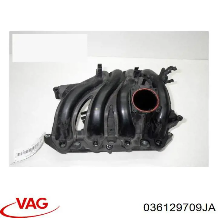 036129709JB VAG Коллектор впускной