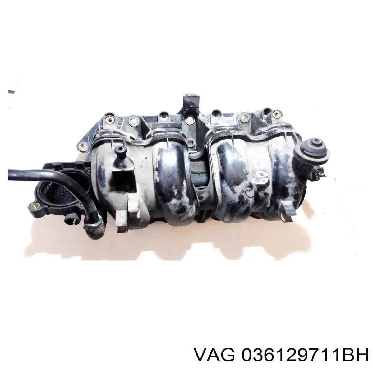 Коллектор впускной VAG 036129711BH цена, от 76.53 USD