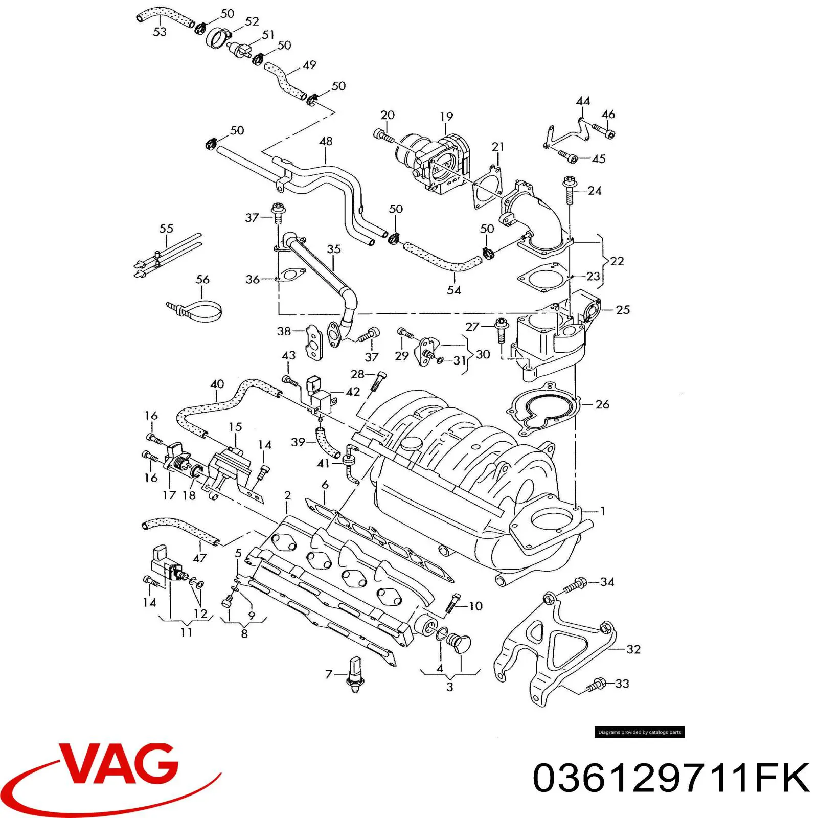 036129711FK VAG 