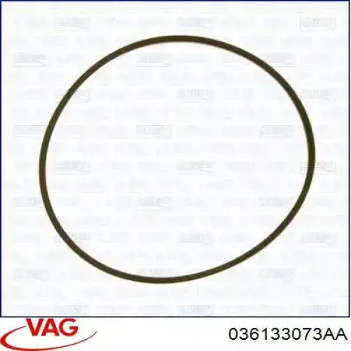  036133073AA VAG