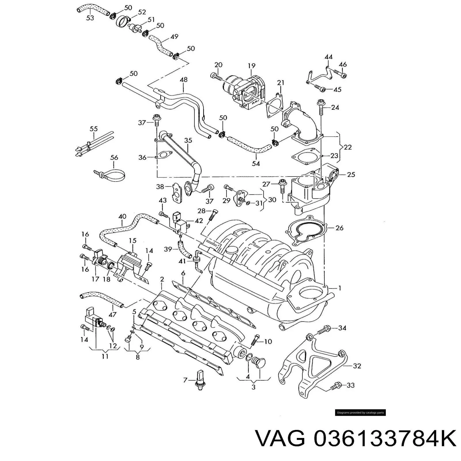 036133784K VAG 