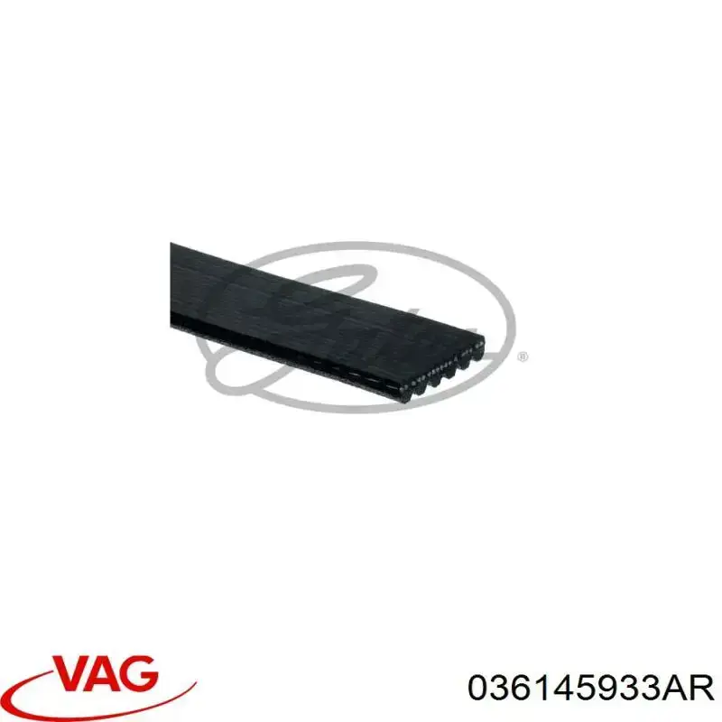 Купить 036145933AR VAG Ремень генератора