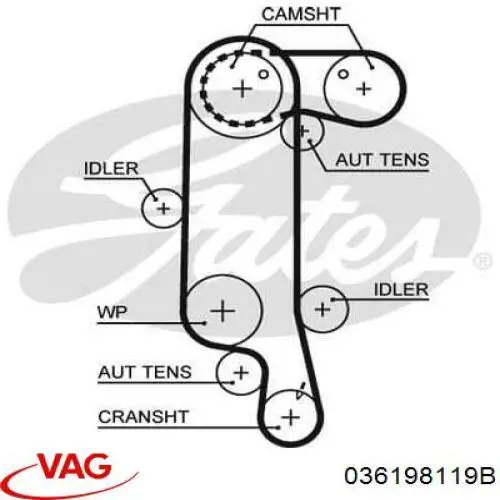 ГРМ ремни, комплект VAG 036198119B цена, от 105.45 USD
