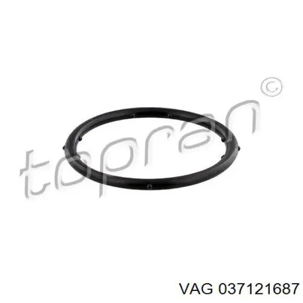 037121687 VAG/Audi