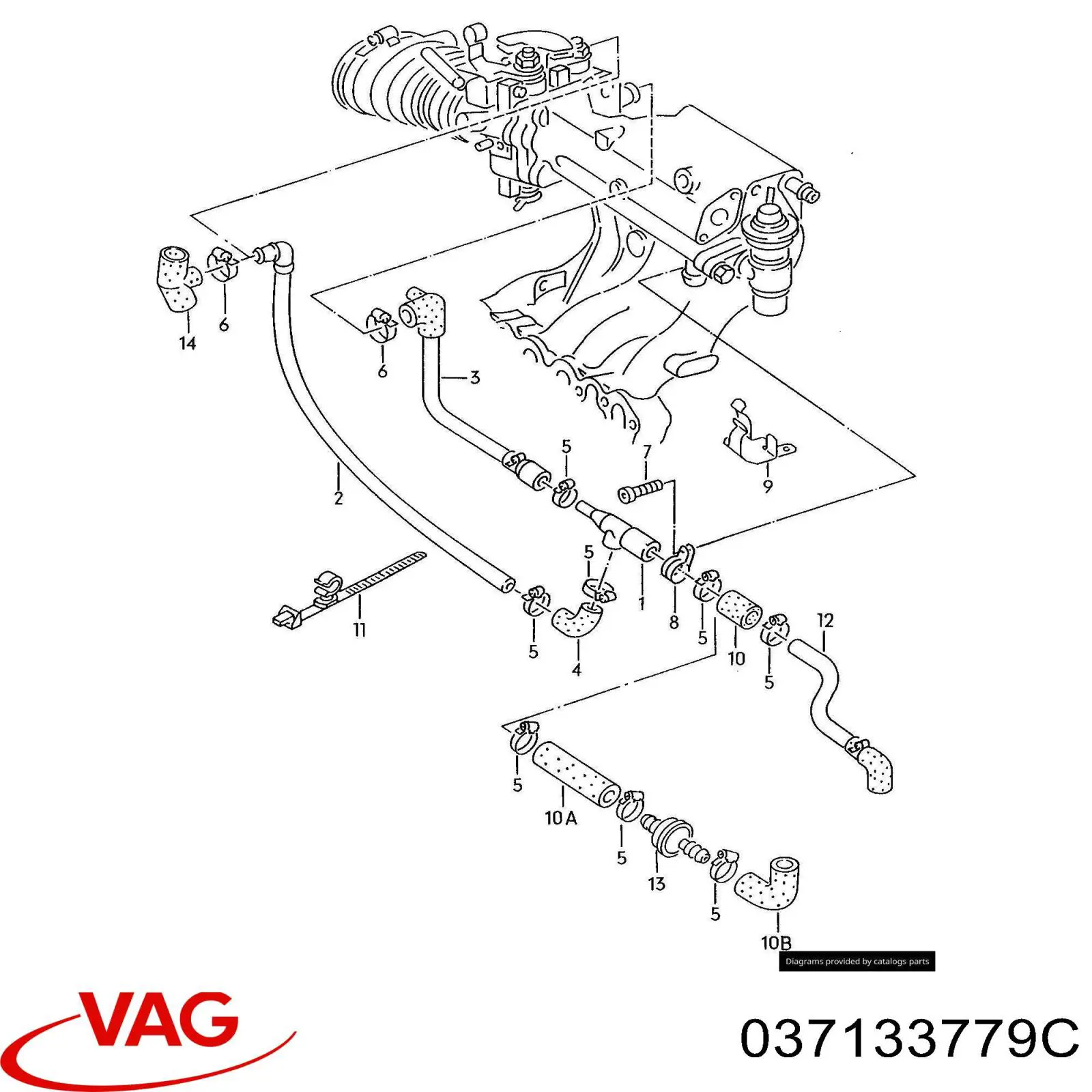 037133779C VAG 
